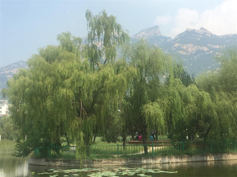 御碑公園“御碑亭” 記載歷史釋人文(圖2)