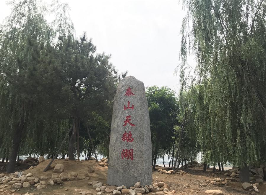 天鵝湖風景區(qū)（泰山）速覽！(圖12)