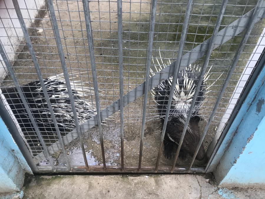 天鵝湖風景區(qū)（泰山）速覽！(圖10)