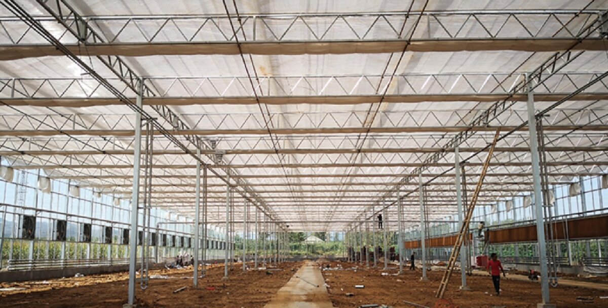 信橋鋼構(gòu)：打卡蒙陰農(nóng)業(yè)溫室大棚、青州黑牛養(yǎng)殖基地！(圖3)